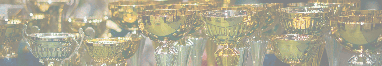 Awards Image